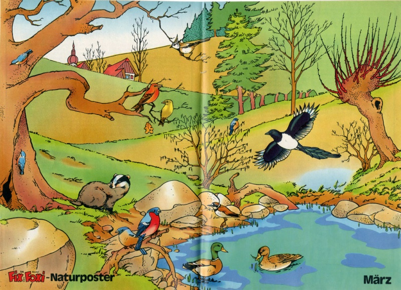 1979-11 Naturposter.jpg
