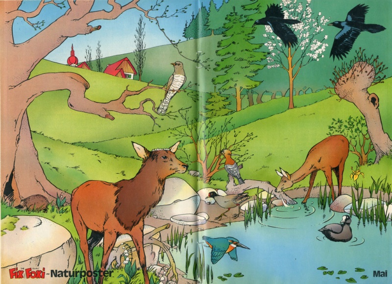 1979-20 Naturposter.jpg