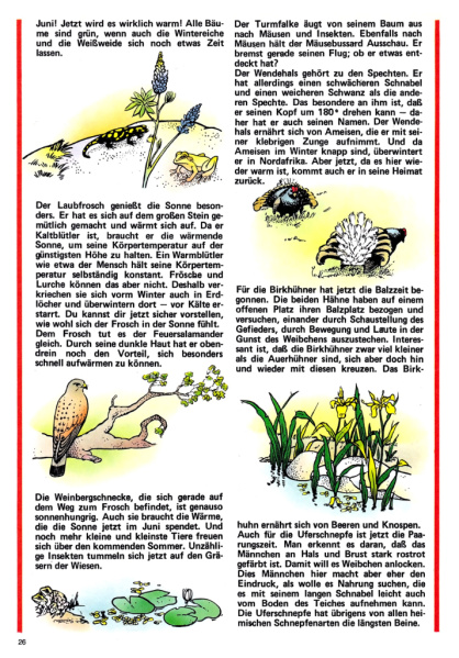 Datei:1979-24 Naturposter-02.jpg