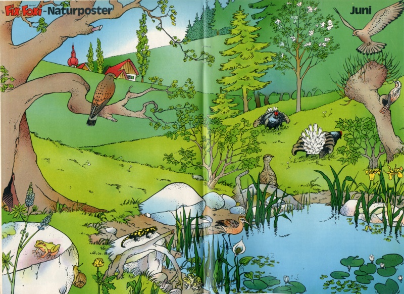Datei:1979-24 Naturposter.jpg