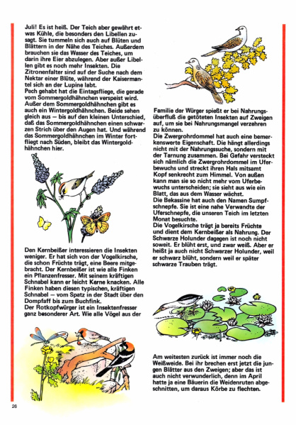 Datei:1979-29 Naturposter-02.jpg