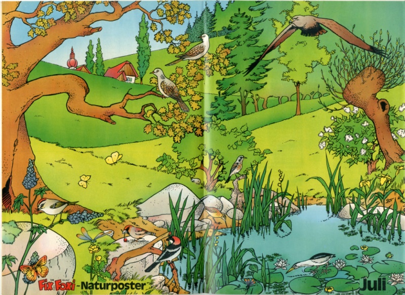 Datei:1979-29 Naturposter.jpg