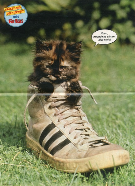 Datei:1986-18 Tierposter.jpg