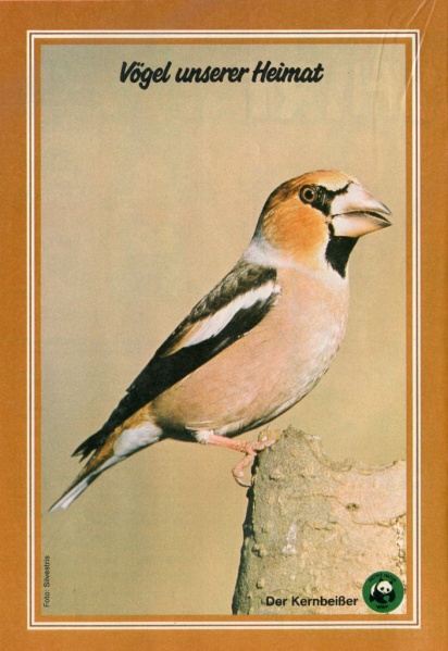 Datei:1986-20 Tierposter 02.jpg