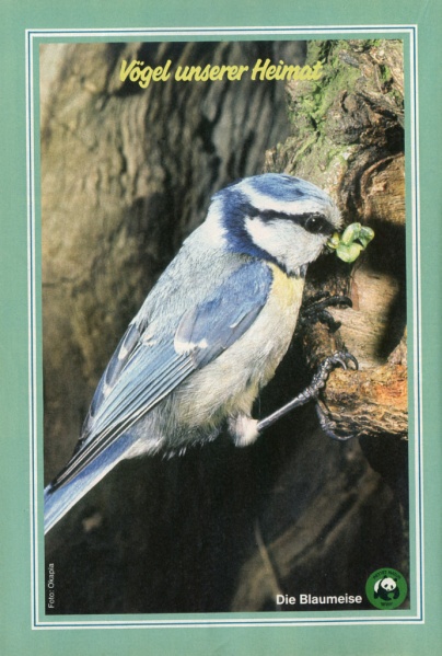 Datei:1986-26 Tierposter 01.jpg