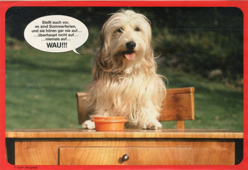 Datei:1986-27 Tierposter.jpg