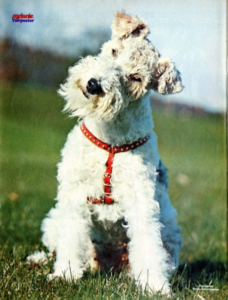 Datei:Poster Melanie 1976-30.jpg